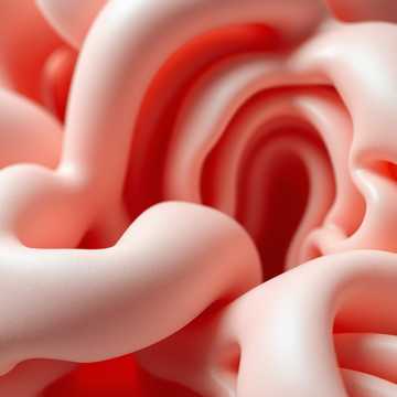 Cover of the song Ballada Elizy