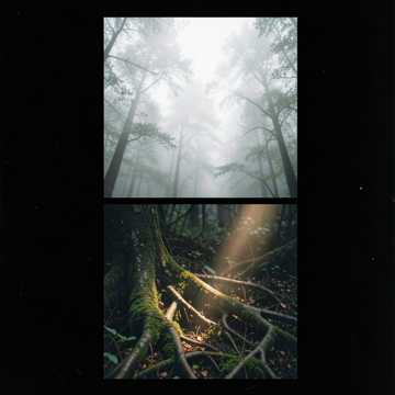 Cover of the song erdo