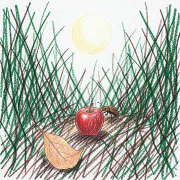 Cover of the song Im Unterholz   Classic