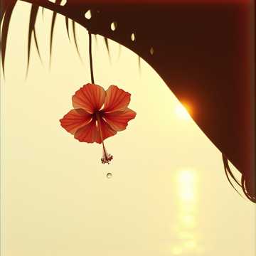 Capa da música Tadi Maso