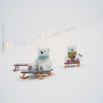 曲のカバー Санки