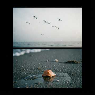 歌曲的封面Brzegiem morza