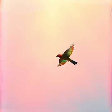 Copertina della canzone Жить