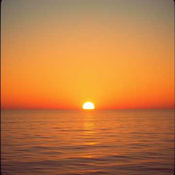 歌曲的封面Amore di Sale