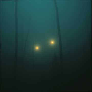 คัฟเวอร์เพลง Умед