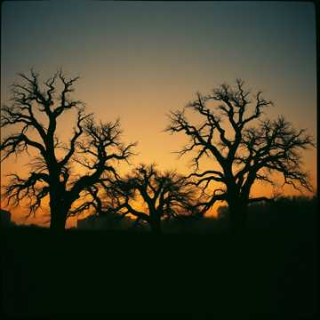 Cover of the song Stimmen der Ahnen