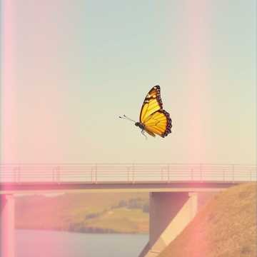 Copertina della canzone Soha Nem Feledünk