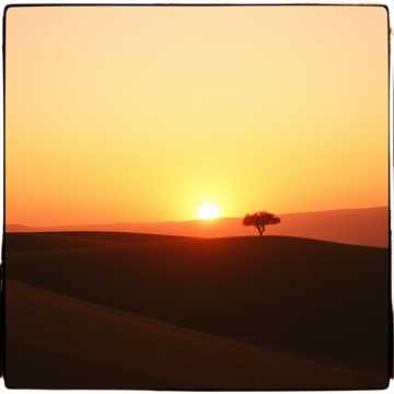 歌曲的封面My Homeland