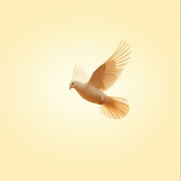 A dal borítója Áldott