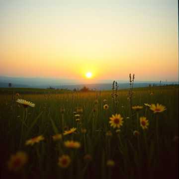 Cover van het nummer Új Hajnal