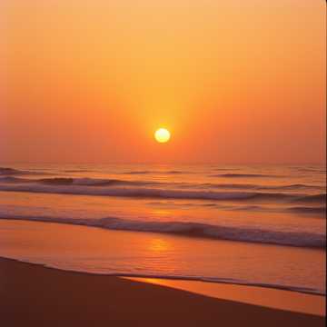 Couverture de la chanson DAME MAS