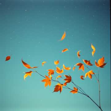 Capa da música Осінь і розлука