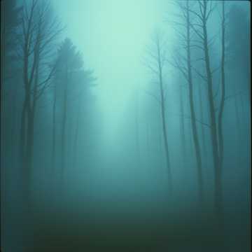 Cover of the song 하얀 숨결