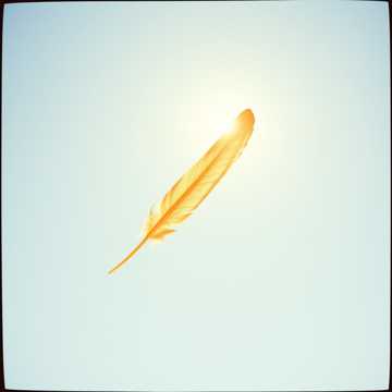 Cover of the song La Libertad Es Oro