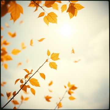 노래 표지 Autumn Dream