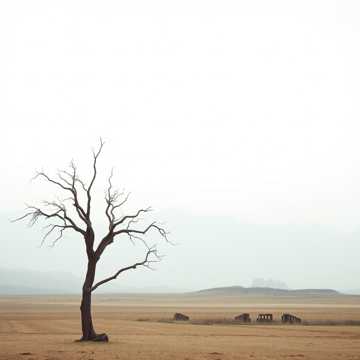 Cover av låten 滄桑