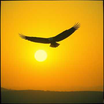 A dal borítója 80 năm Tự hào người chiến sĩ tham mưu công an