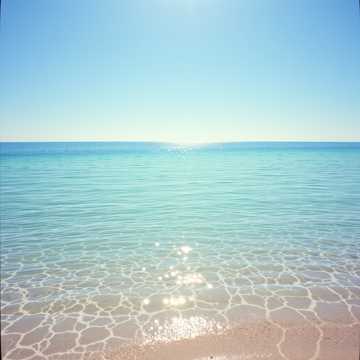 Cover av låten Camarón como el agua