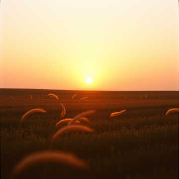 Couverture de la chanson Te Agradeço Senhor