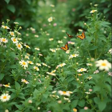 Cover utworu 青梅誤·長風沙