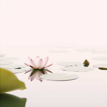 노래 표지 Ethereal Flow