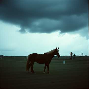 Cover of the song остановите миг