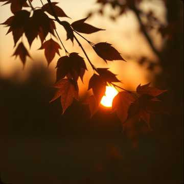 Cover of the song Наша осень