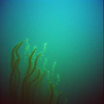 Cover des Liedes Tiefe Wasser