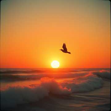 Portada de la canción DESENCONTRO