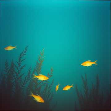 A dal borítója не боюсь