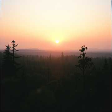 Copertina della canzone Őszi Hajnal