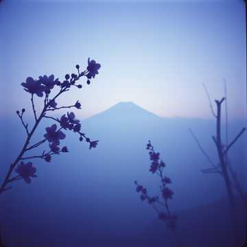 Cover of the song 매화의 그리움 2