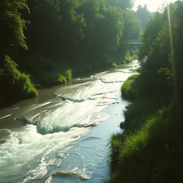 Cover of the song Il Viaggio dell'Acqua