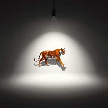 노래 표지 เพลง 21 สัตว์