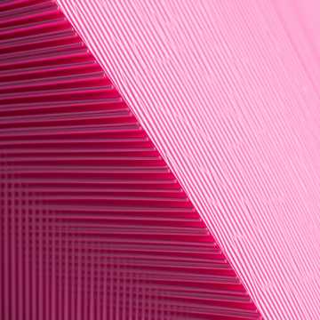 Cover of the song Rolika, a TikTok-sztár