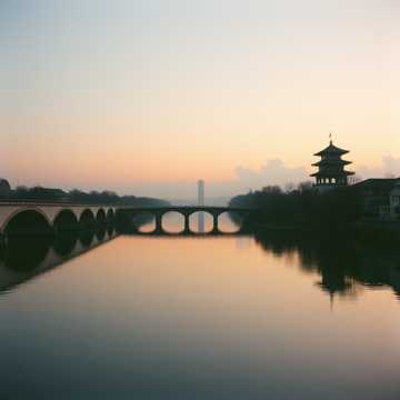 غلاف الاغنية 秋色老梧桐