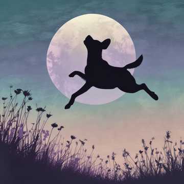 Bìa bài hát Mój Przyjaciel