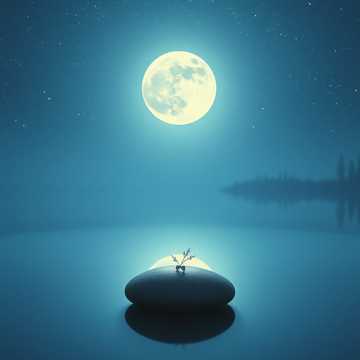 คัฟเวอร์เพลง Мөлдір Көздер