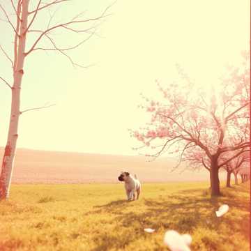 Couverture de la chanson Пробуждение