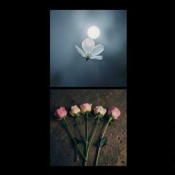 Cover of the song بنوتاتي