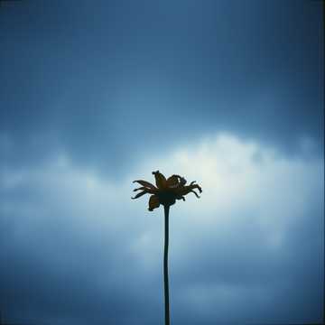 Cover of the song È finita, dopo 11 anni!