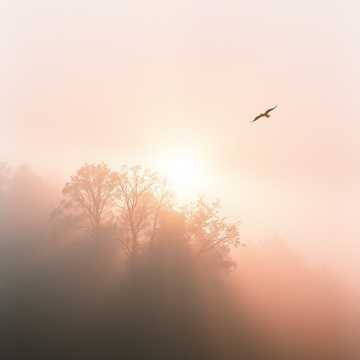 Cover utworu Új Nap Ébred