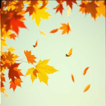 Bìa bài hát 화양연화3