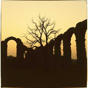 歌曲的封面Ostatni Świadek