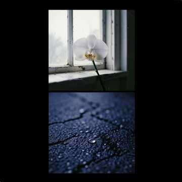 노래 표지 Pożegnanie