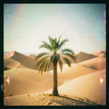 Cover of the song صباح الخير يالوادي