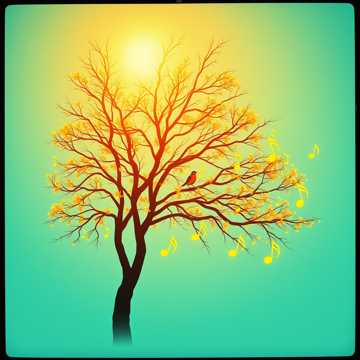 歌曲的封面El Pajarito