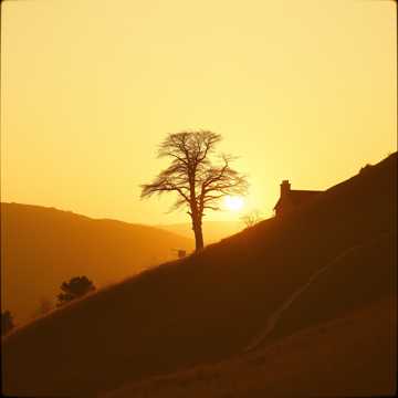 Cover of the song TENSKNOTA  ZA SWOIM MIEJSCEM NA ZIEMI