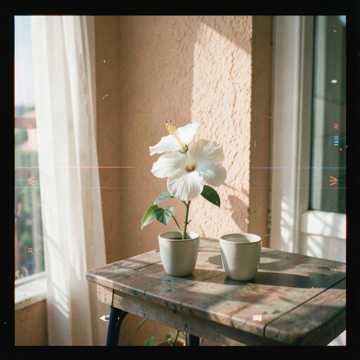 歌曲的封面أحبك مثل أول مرة