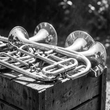 Couverture de la chanson Bronce en marcha